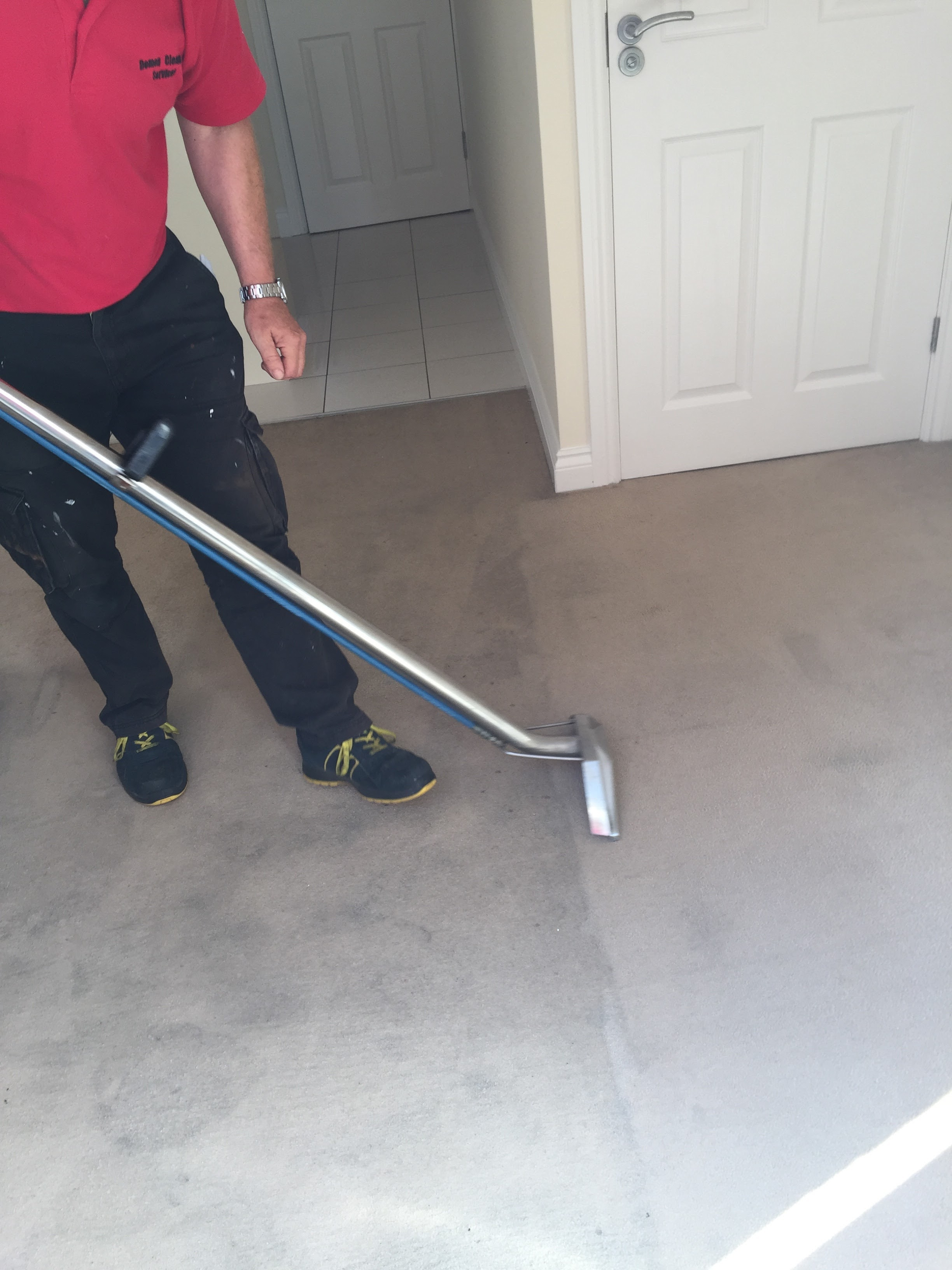 Professional Carpet Cleaning